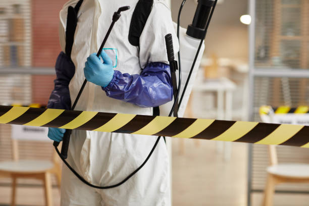 Professional Unattended Death Cleanup technician working in Beach City, TX